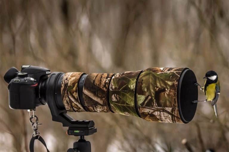 Important photographic accessories