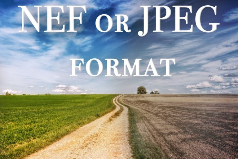 NEF or JPEG format