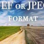 NEF or JPEG format