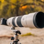 Best Wildlife Photography Lenses 2021