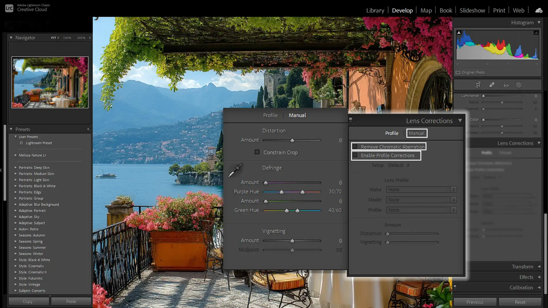 Lightroom Lens Correction panel with the options 'Enable Profile Corrections' and 'Remove Chromatic Aberration' selected