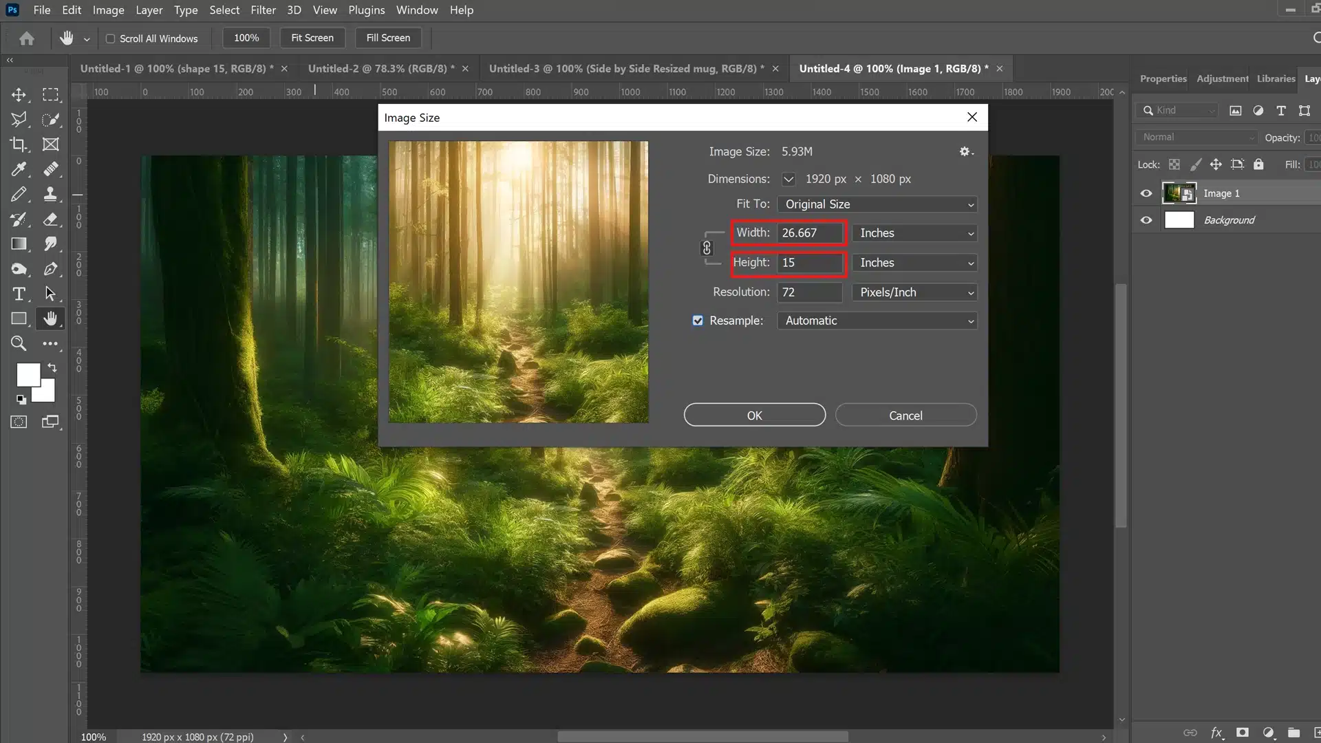 Photo of a Photoshop interface displaying the 'Image Size' dialog box with an open forest scene image in the background, showing a lush, sunlit path through dense greenery.