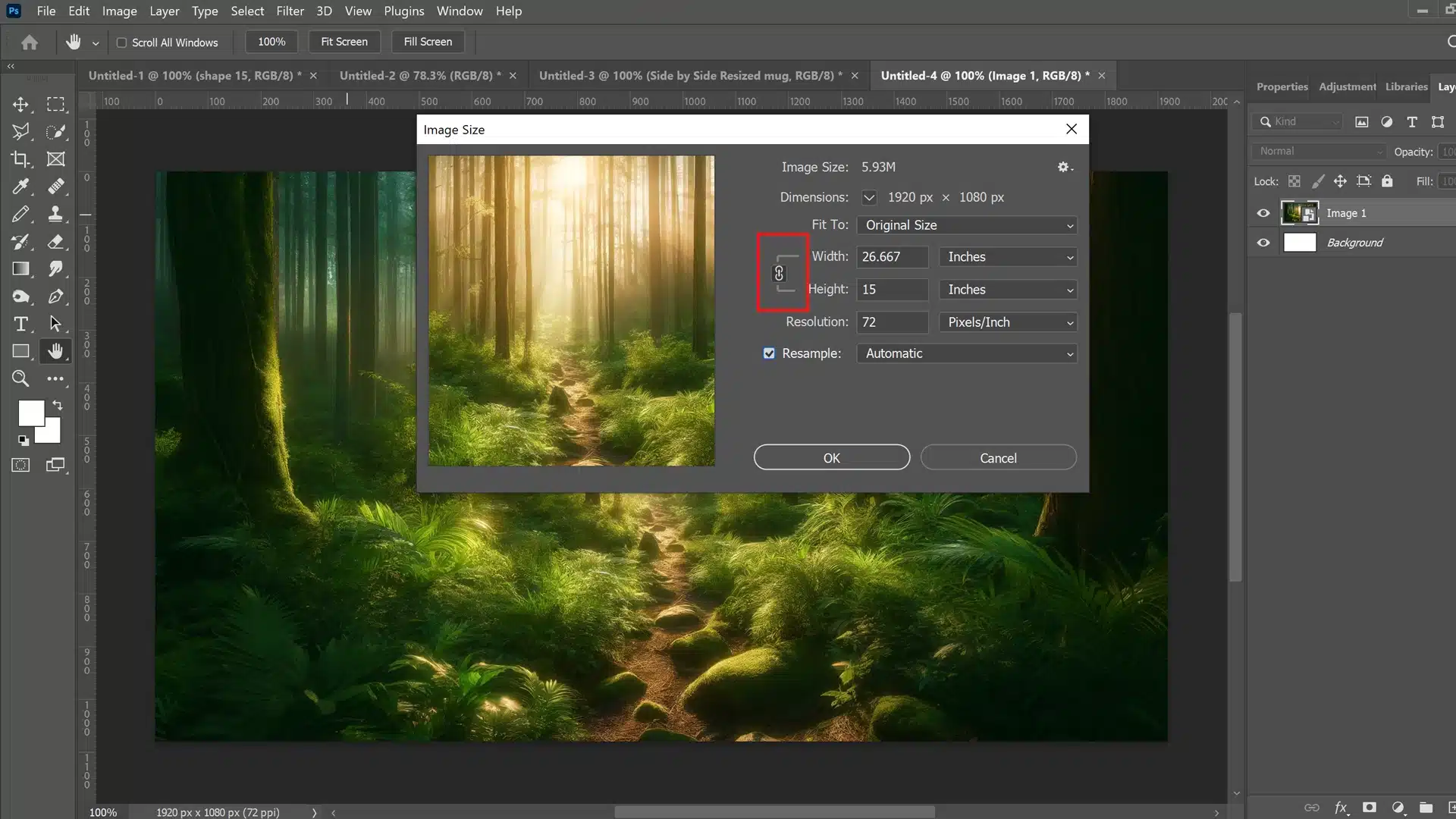 A Photoshop interface open to the 'Image Size' dialog box, set against a detailed forest scene displayed in the background, highlighting a path illuminated by sunlight filtering through the trees.