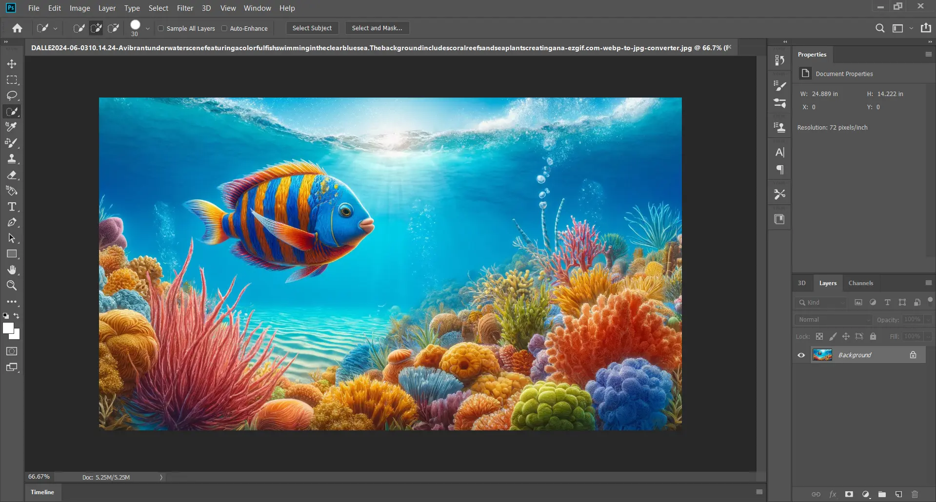 Photoshop interface showing an open image of an underwater scene with a fish and coral.