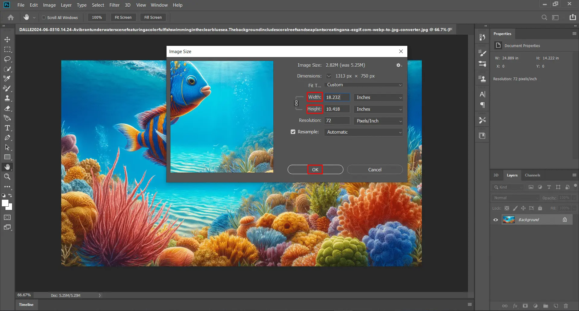 Photoshop "Image Size" dialog displaying dimensions of an underwater scene with a fish and coral.