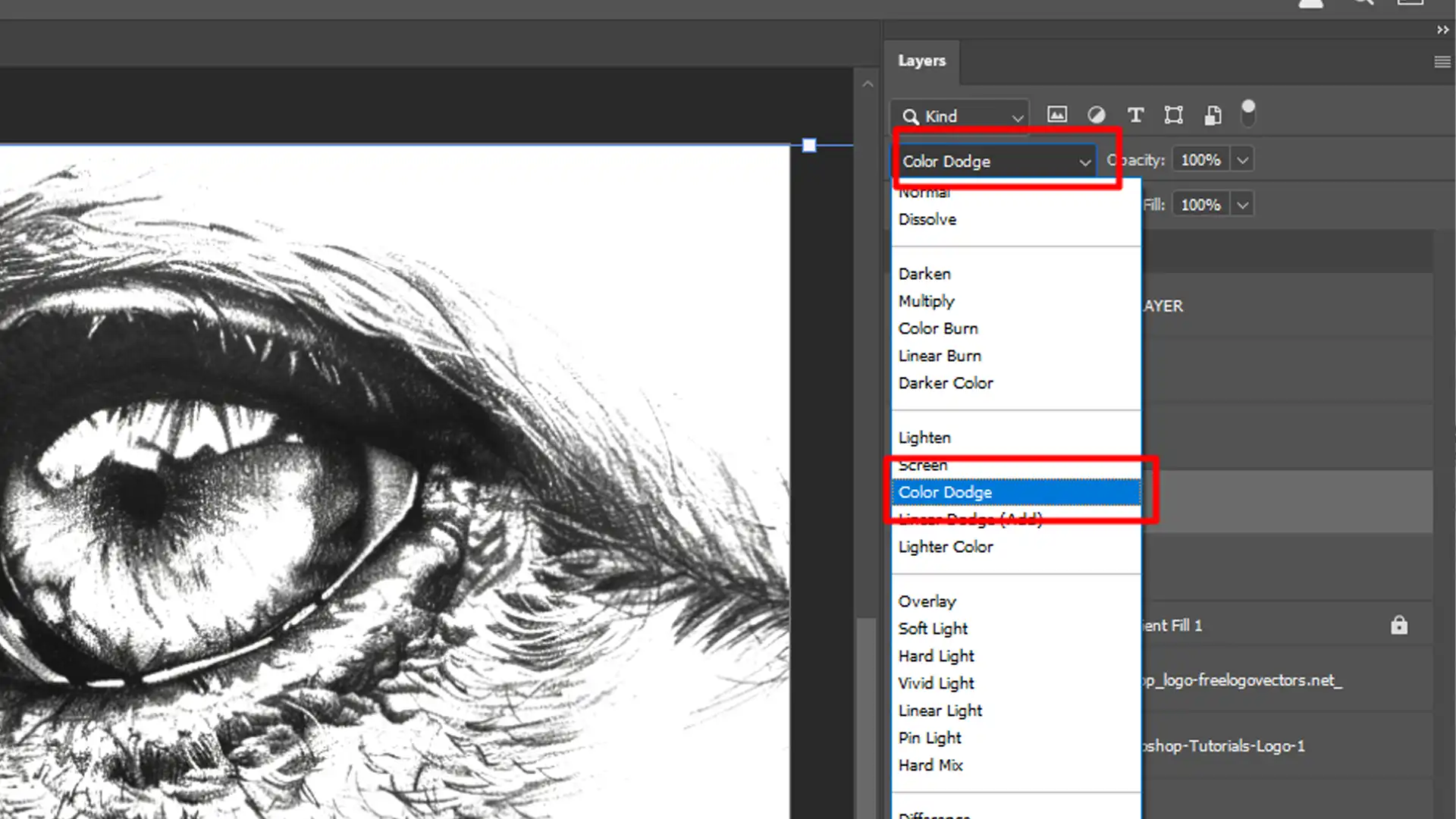 Adobe Photoshop interface showing the Layers panel with the Color Dodge blending mode highlighted, demonstrating how to turn a photo into a sketch in Photoshop.