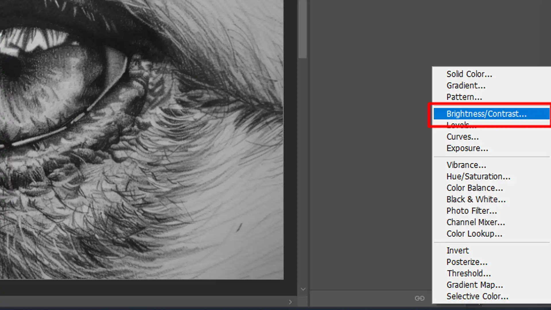 Close-up of a grayscale image editing interface showing a detailed texture of an eye with wrinkles, and the adjustment menu with ‘Brightness/Contrast…’ highlighted.