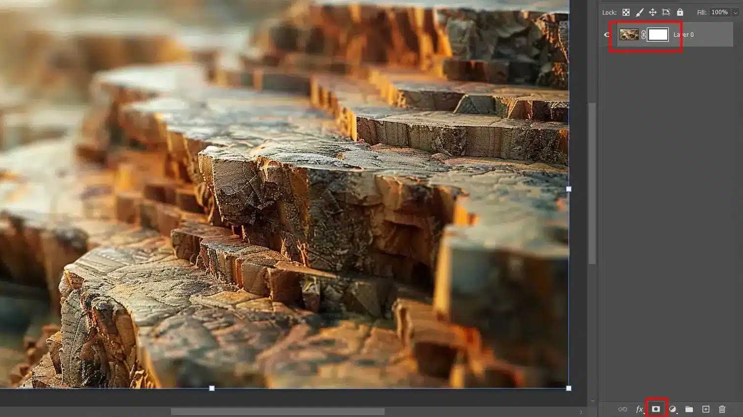 Adobe interface displaying a detailed image of a rocky, textured surface with a highlighted icon.