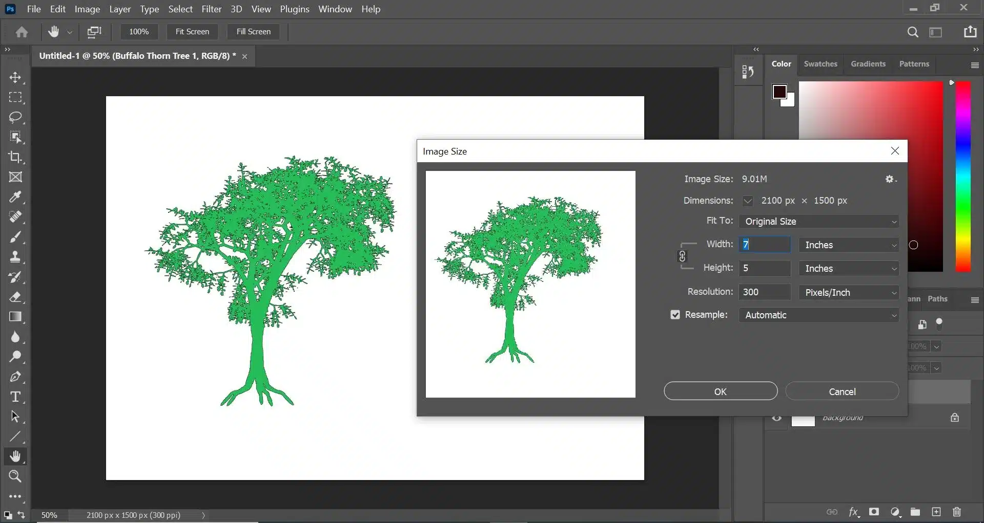 Adobe Photoshop interface showing a tree graphic with the image size dialog box open, adjusting dimensions and resolution settings.