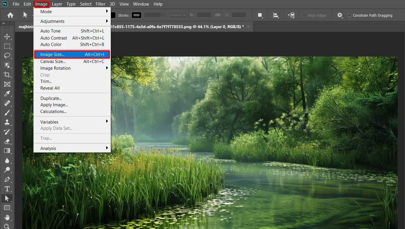 Adobe interface showing the image size option selected from the menu, with a nature scene open for editing.