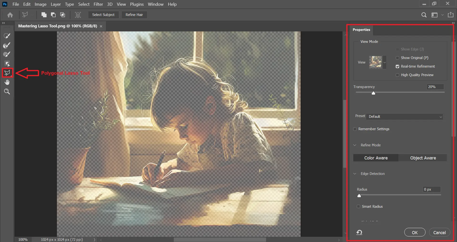 Screenshot of Adobe Photoshop showing the Polygonal Lasso Tool options with an image of a child writing near a window.