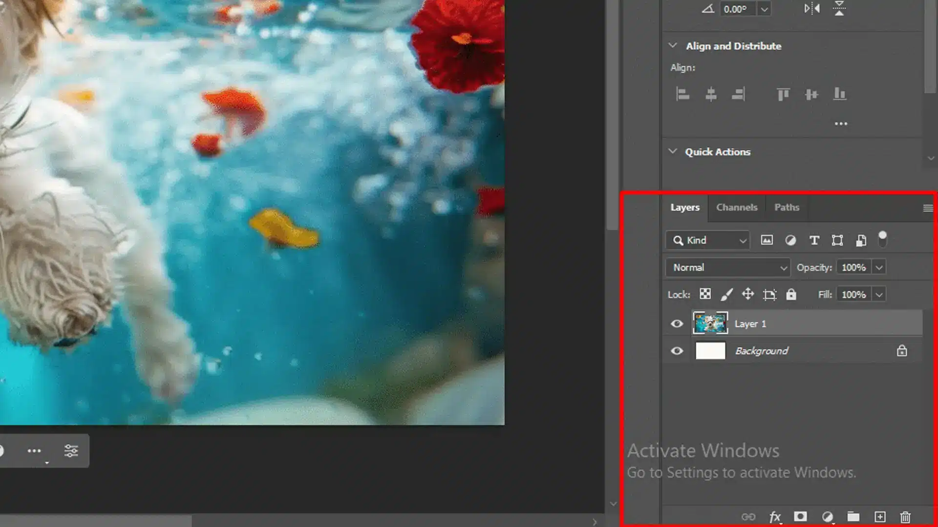 A screenshot of a computer screen displaying an image editing software with a vibrant underwater scene featuring red flowers, fish, and the underside of a swimming dog. The right side shows a toolbar with layers, channels, and paths panels, with ‘Layer 1’ highlighted.