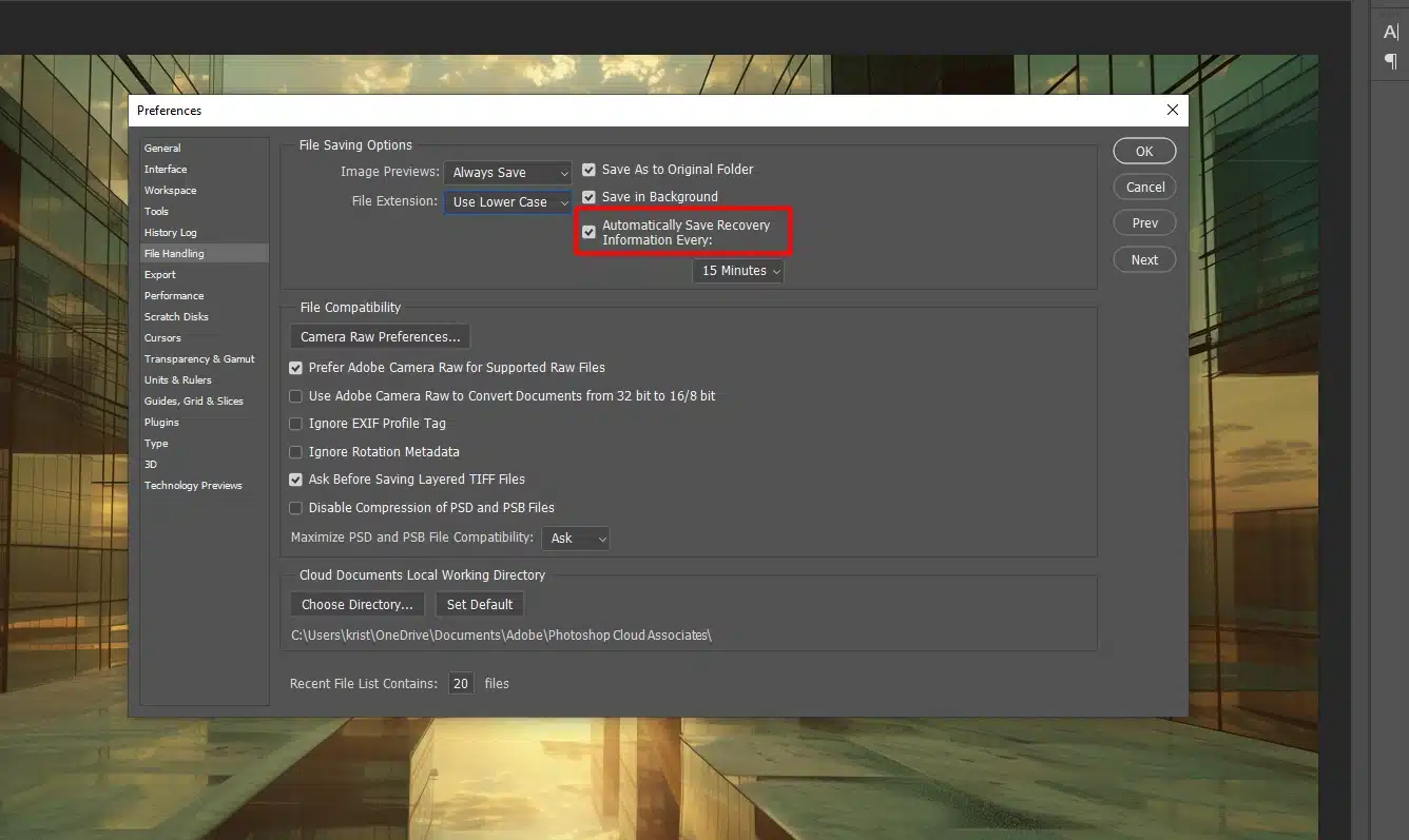 Photoshop Preferences window open with the 'Automatically Save Recovery Information Every' option highlighted.