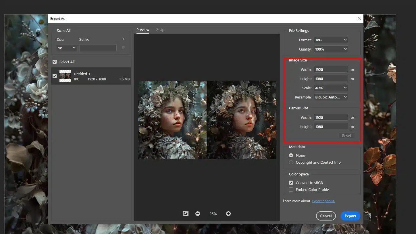 Photoshop export settings for image resolution optimization.