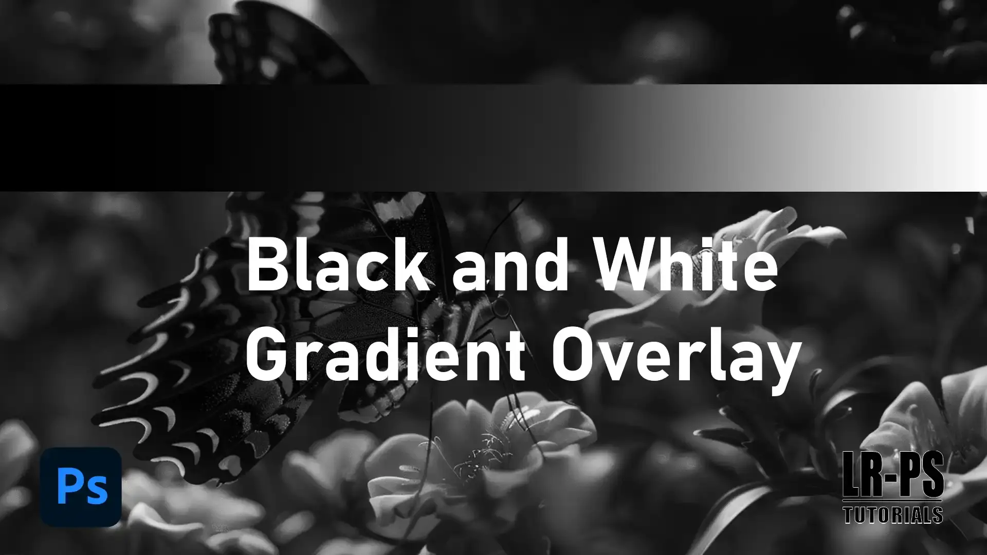 The image features a black and white gradient overlay effect applied to a photograph of flowers