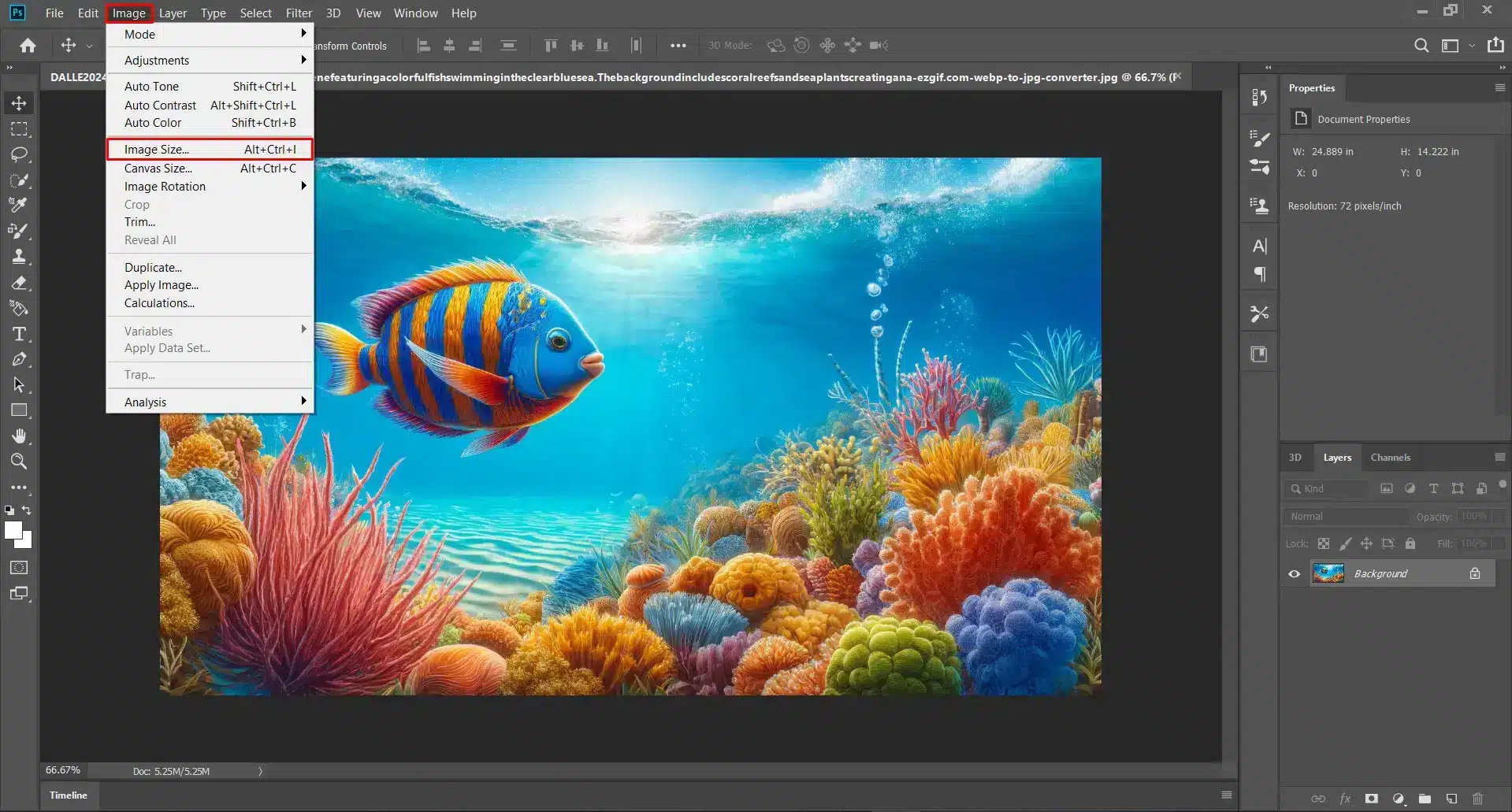 Photoshop interface with the "Image Size" dialog box open, showing the dimensions of an underwater image.