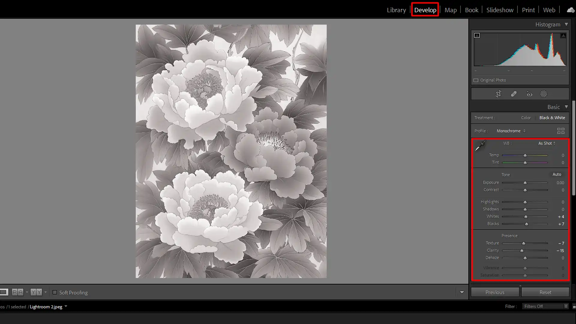 Lightroom with the basic settings for adjusting a double exposure effect, including sliders for exposure, highlights, and shadows.