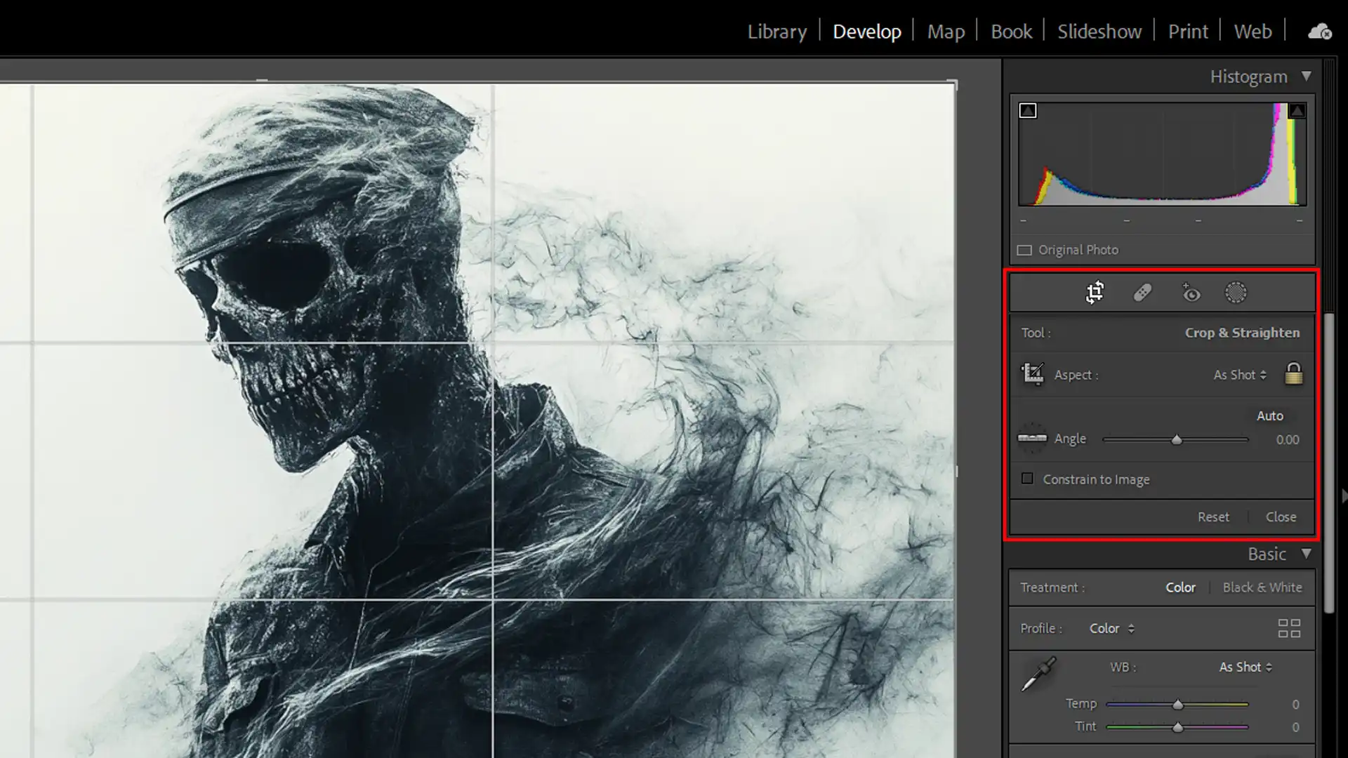Example of advanced crop techniques with focus on cropping and straightening an image.