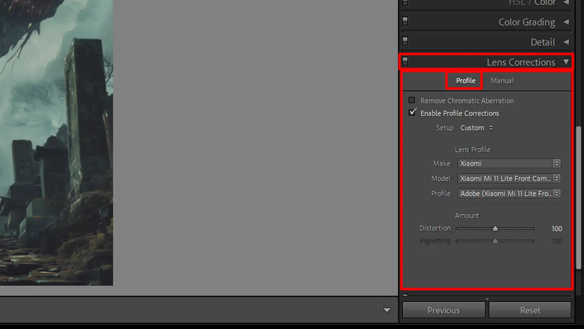 Applying lens correction in Lr to reduce distortion.