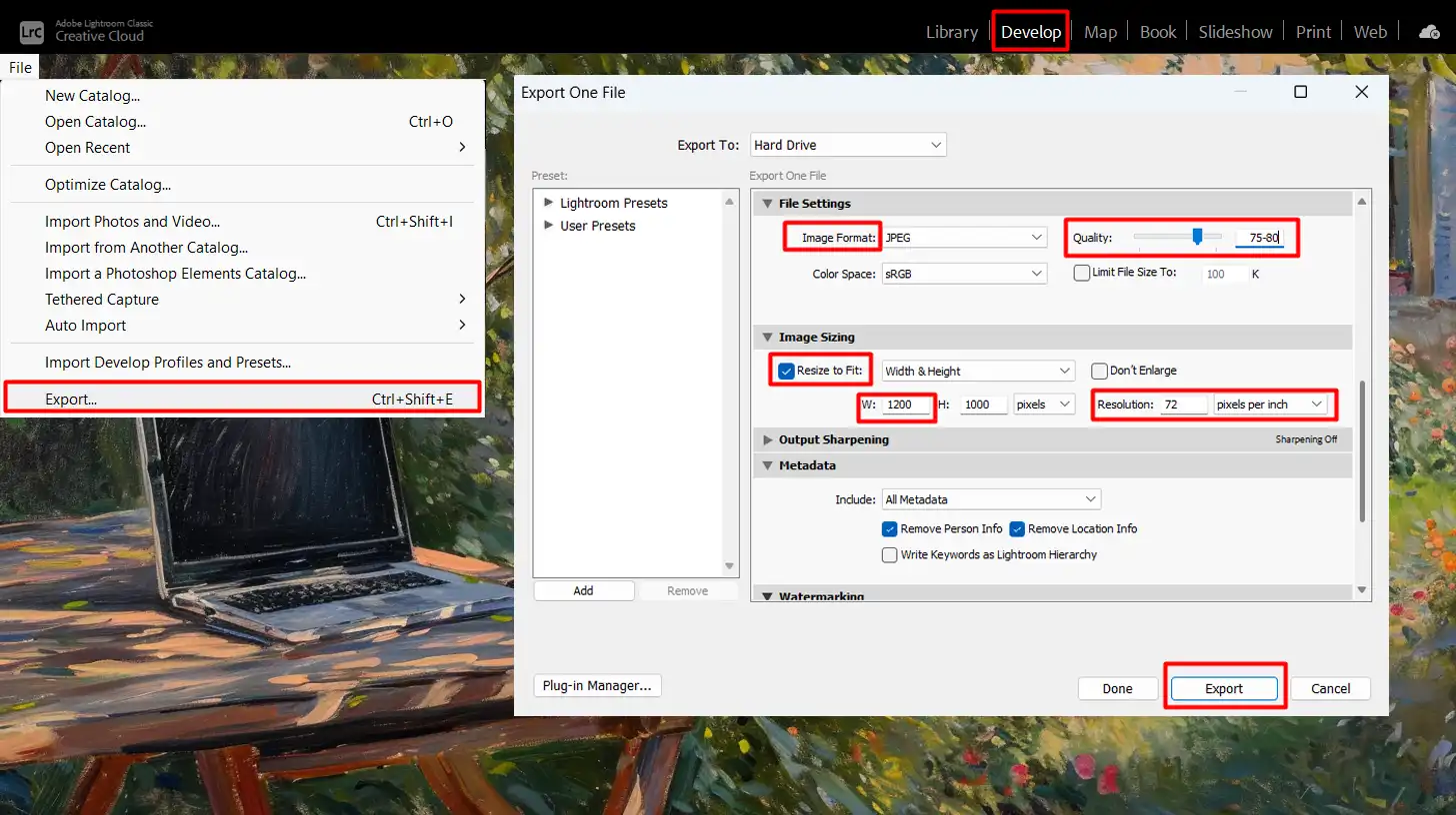 Export settings in LR showing image resizing and resolution options