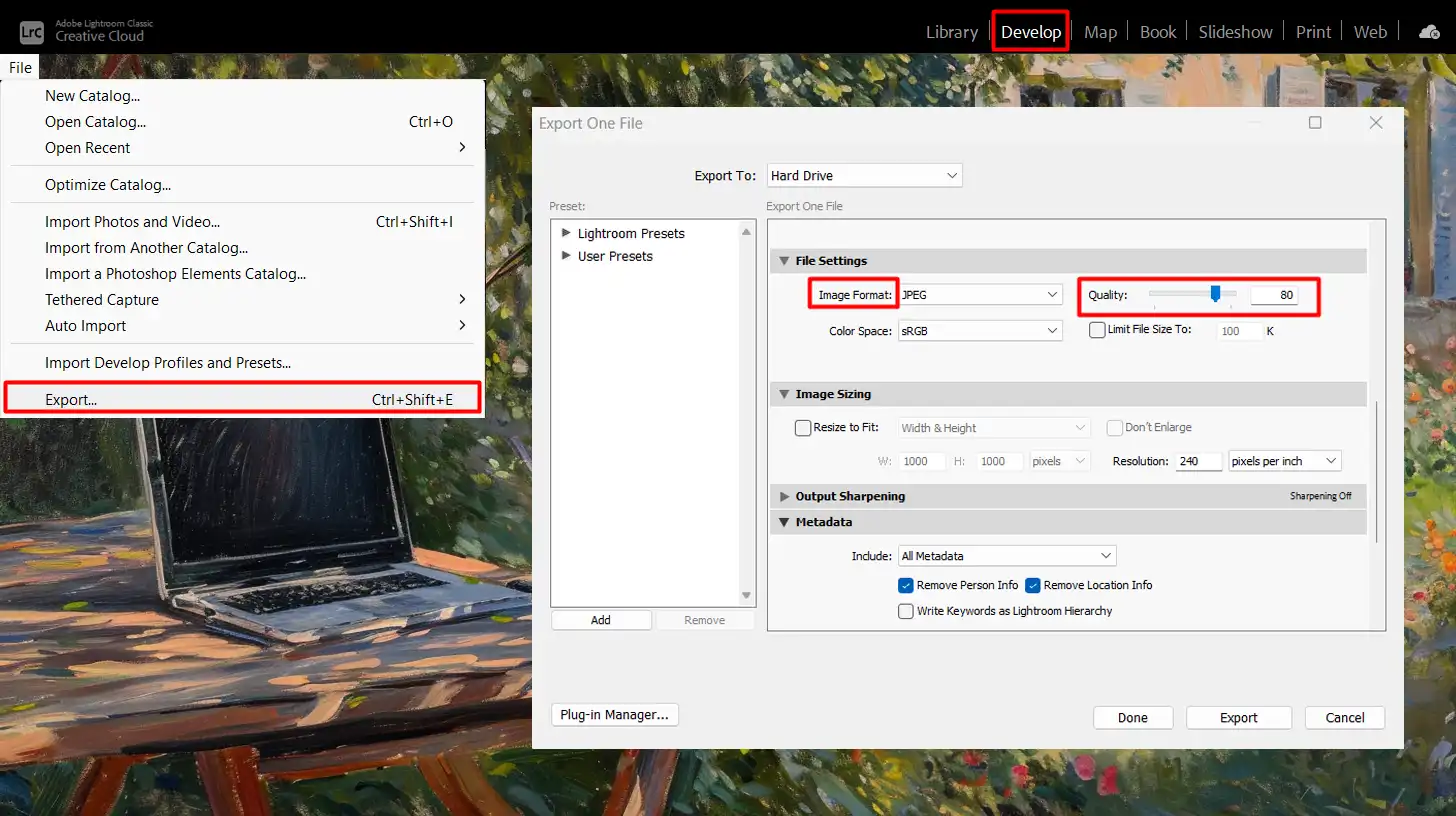 Lightroom export settings window with options for image format, quality, and size