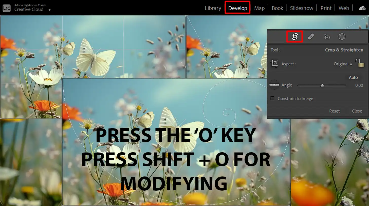 Lightroom cutting overlay options with various guides like the golden ratio, showing how to customize image alignment