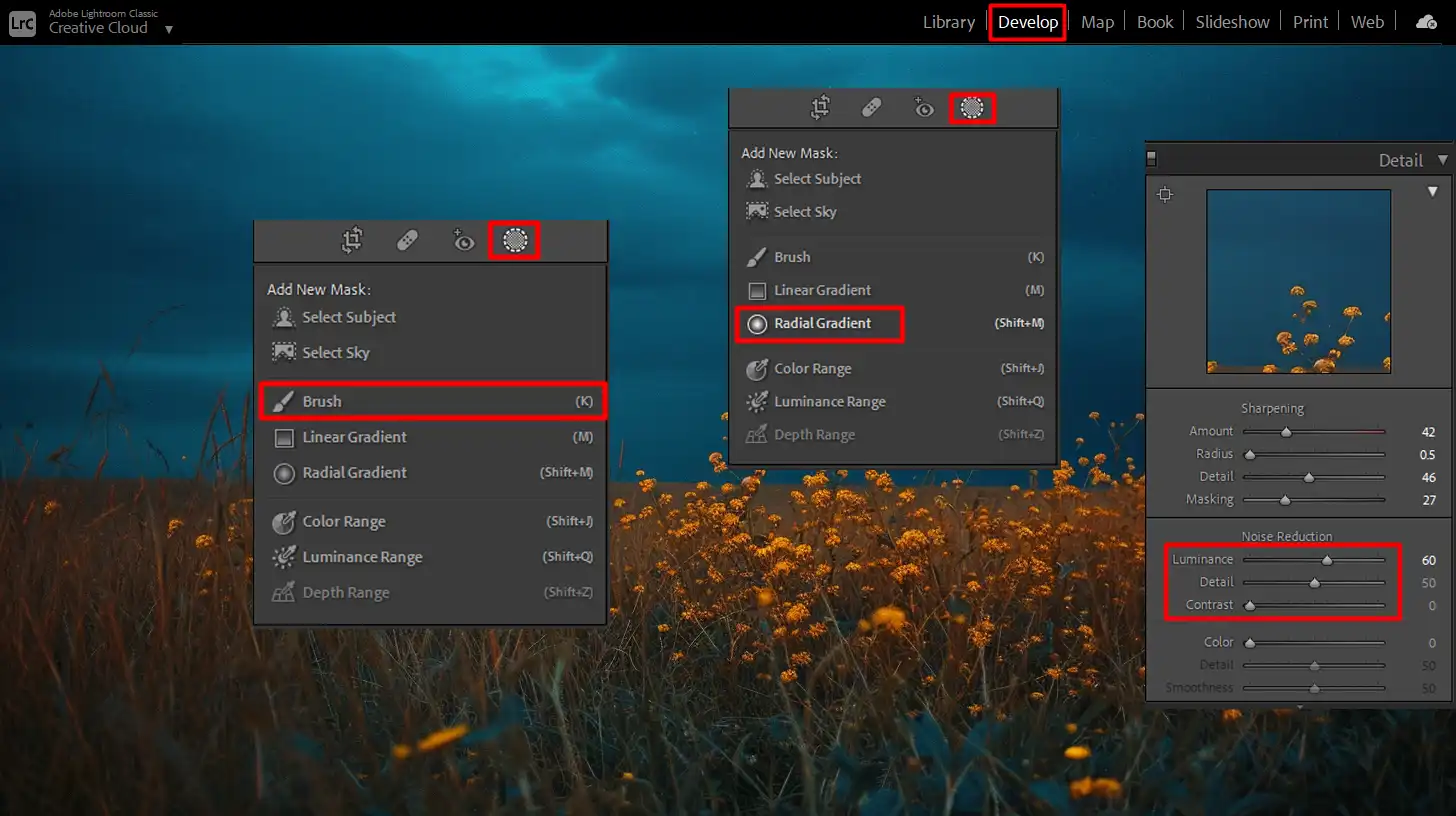 Comparison of editing capabilities between these two editing softwares, showing advanced tools like noise reduction and radial filters