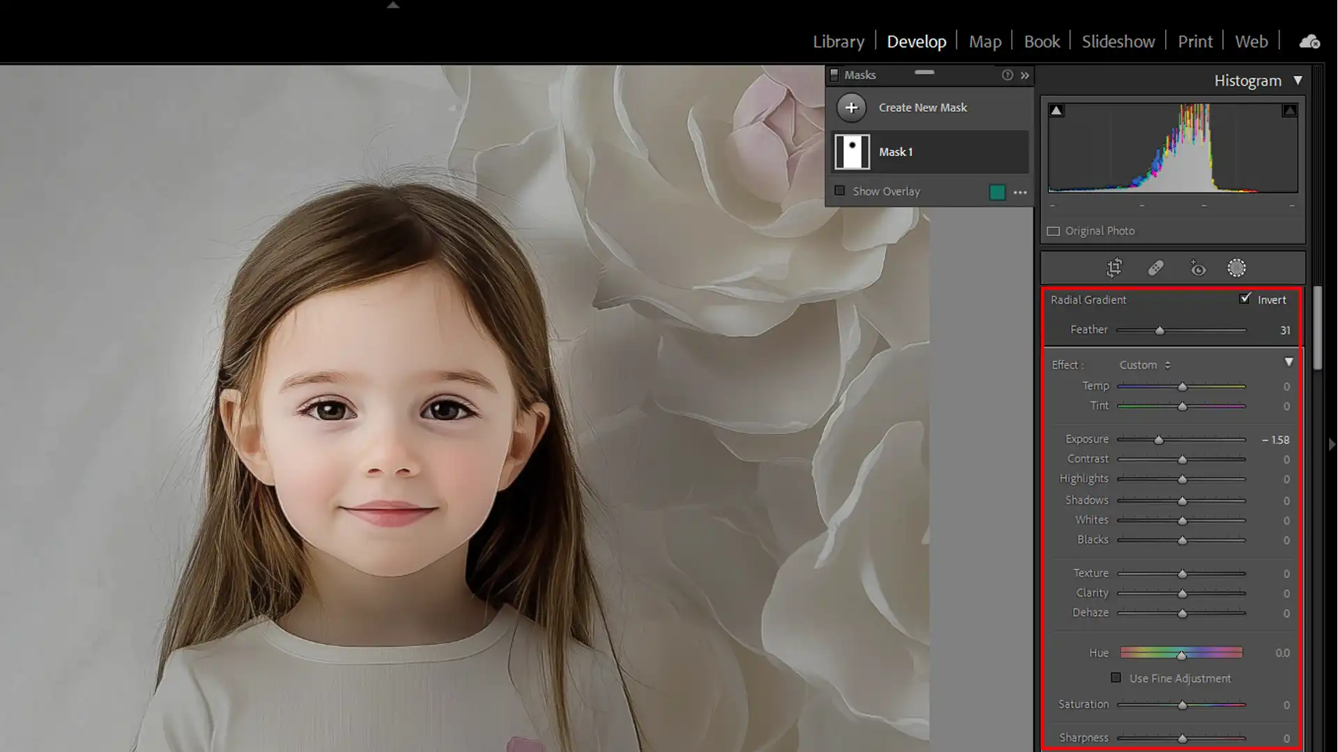 radial blur applied to the background with Portrait of a young girl with