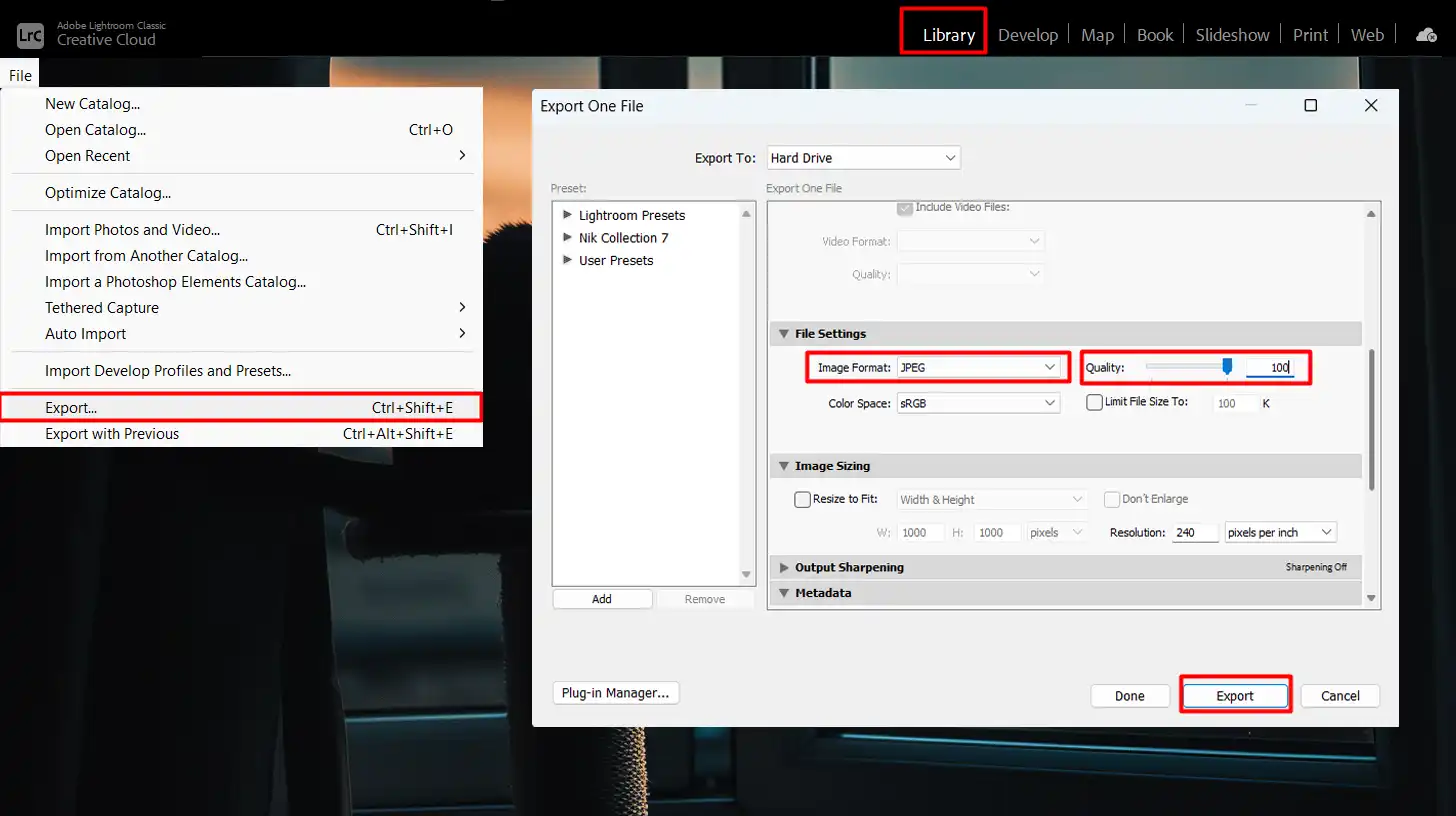 Export Settings in Lightroom for Different Platforms