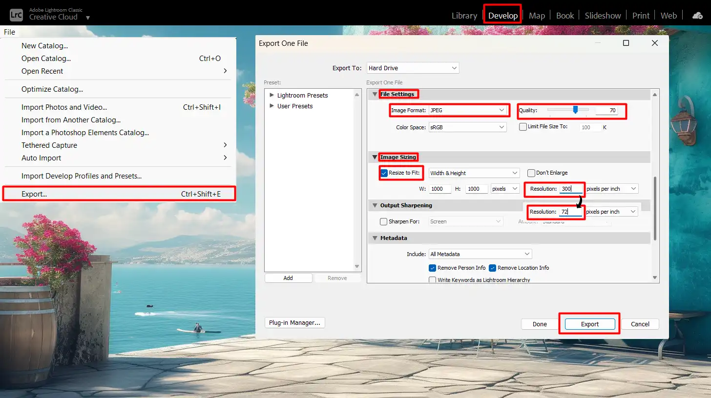 LR export dialog showing settings for exporting uncompressed photo items as JPEG or TIFF