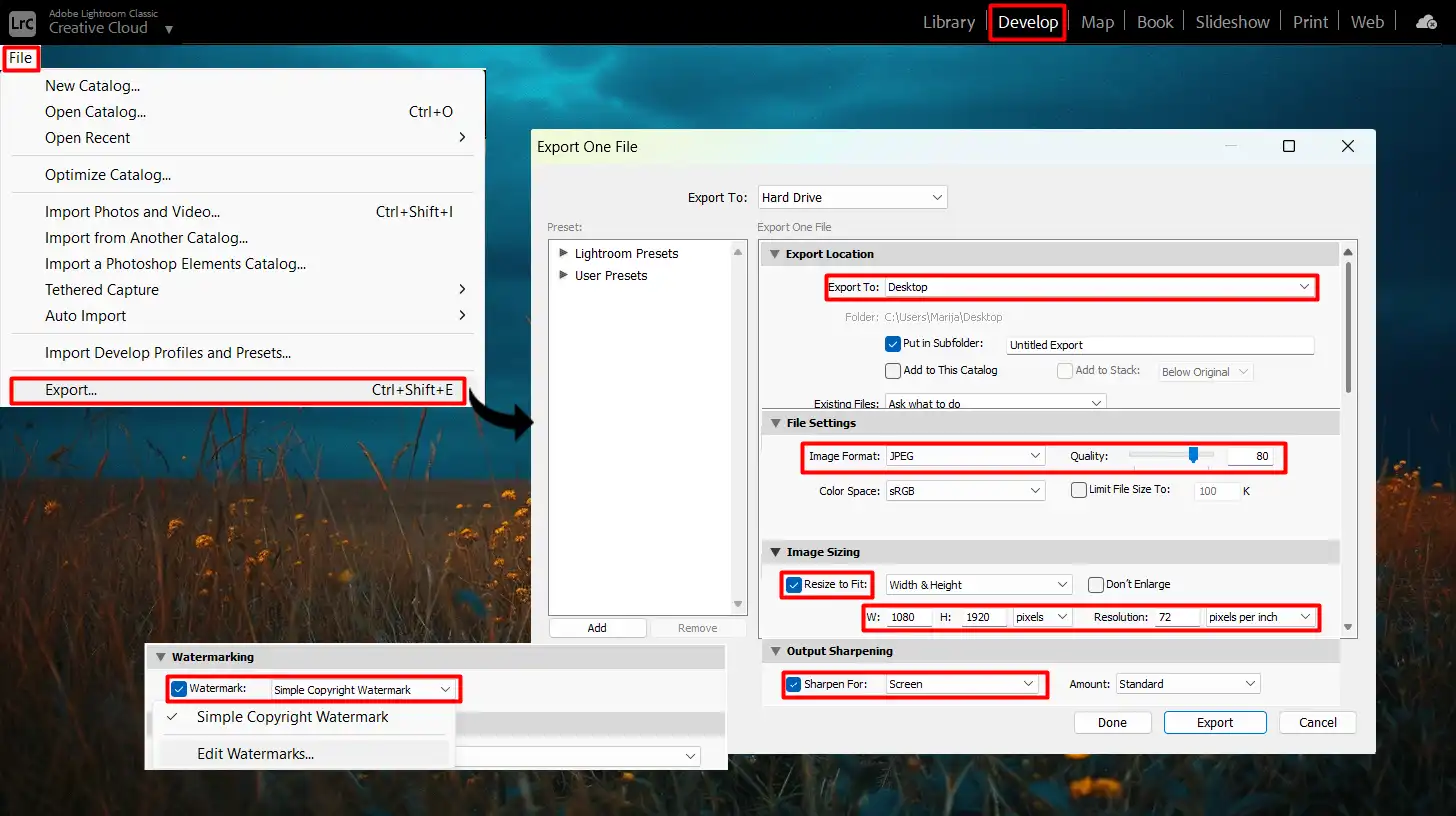 Exporting options in LR Classic, showcasing various formats, quality settings, and watermarking