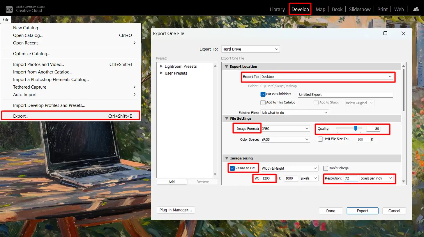 Lightroom export interface with image type options and quality settings displayed
