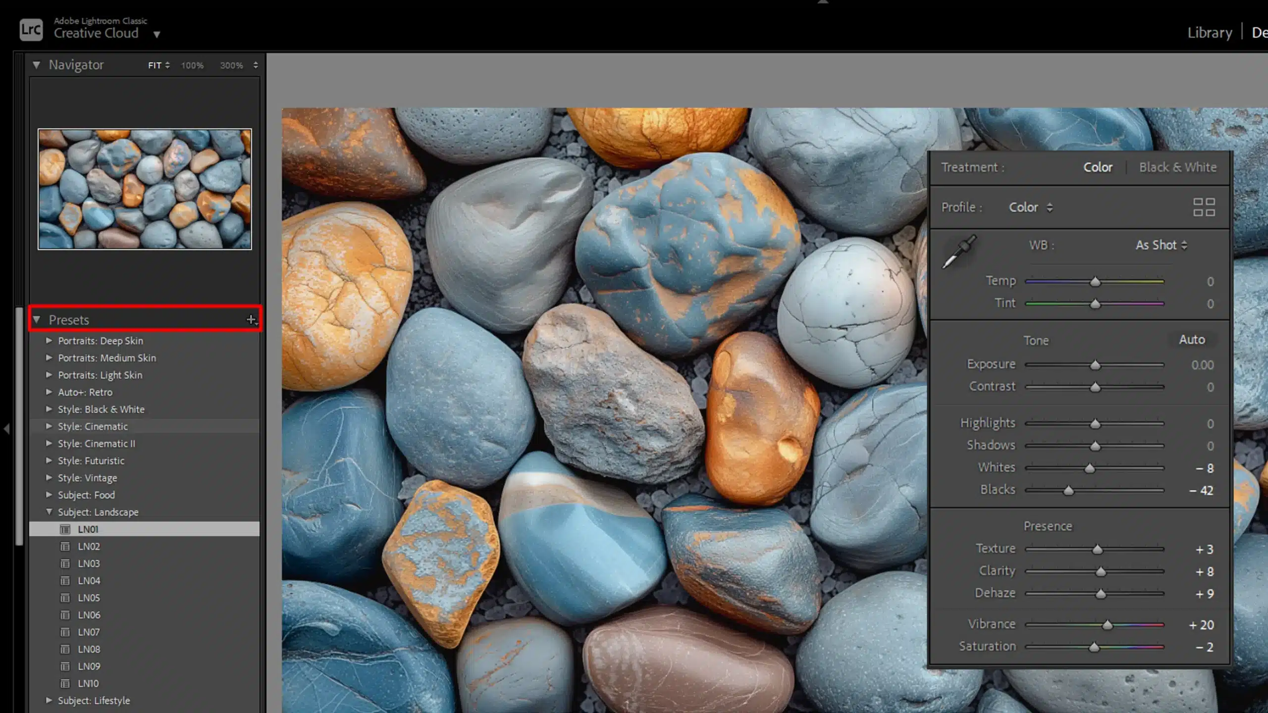 Classic interface displaying the presets panel for applying custom presets to an image