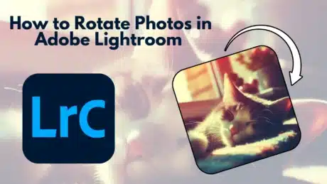 Illustration showing how to rotate photos in Adobe Lightroom, featuring a cat photo being rotated with the Lightroom Classic (LrC) logo.