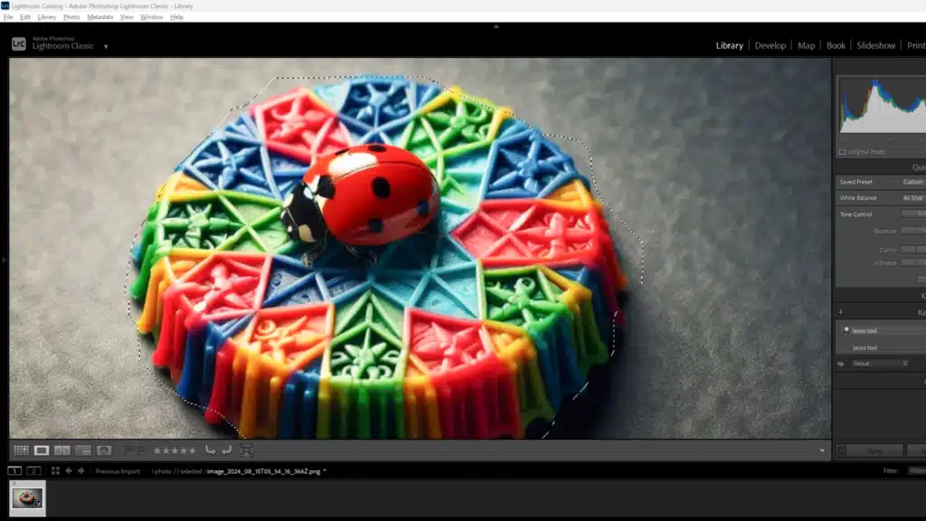 Screenshot of Adobe Lightroom interface showing the Standard device used to make a selection around a colorful geometric object with a ladybug.