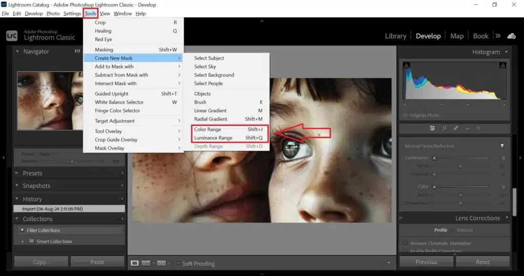 Adobe Lightroom interface displaying a close-up photo with noise reduction adjustments, illustrating the FAQs about "How to Make a Photo Grid in Lightroom" and addressing "Grainy Photos Lightroom."