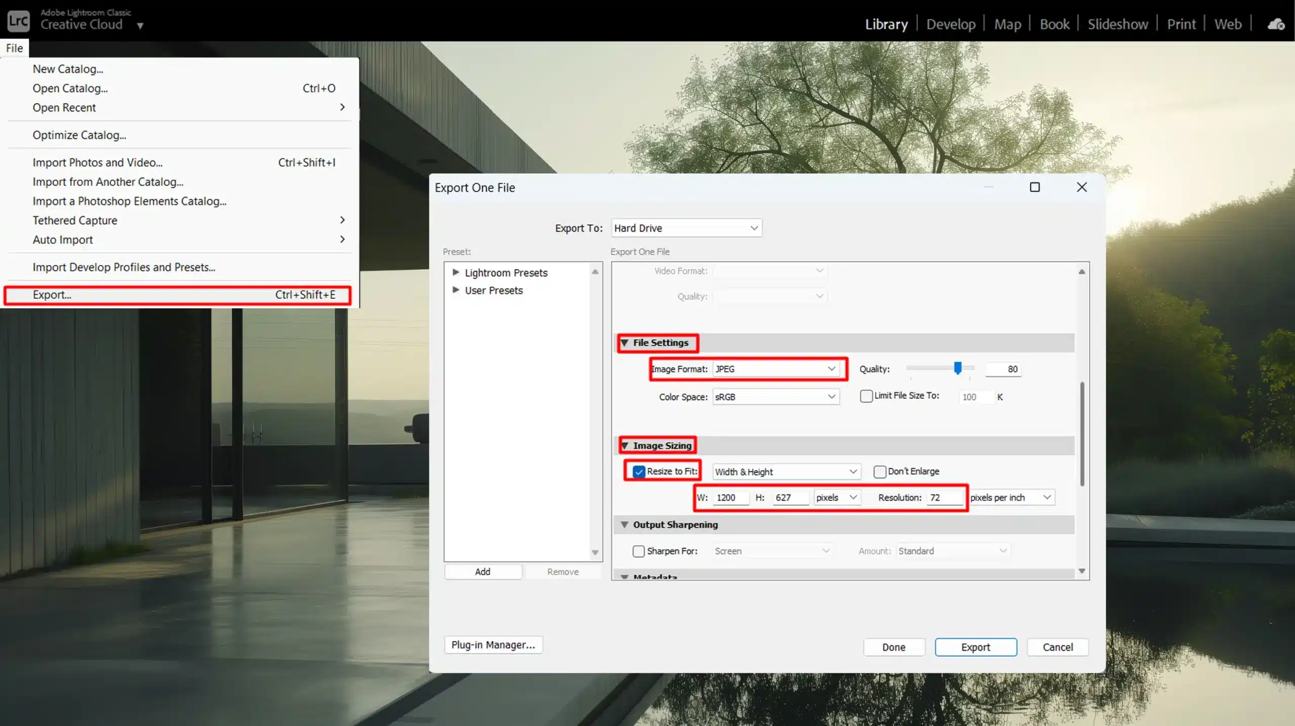 Optimal resolution and dimensions settings in Lightroom export dialog