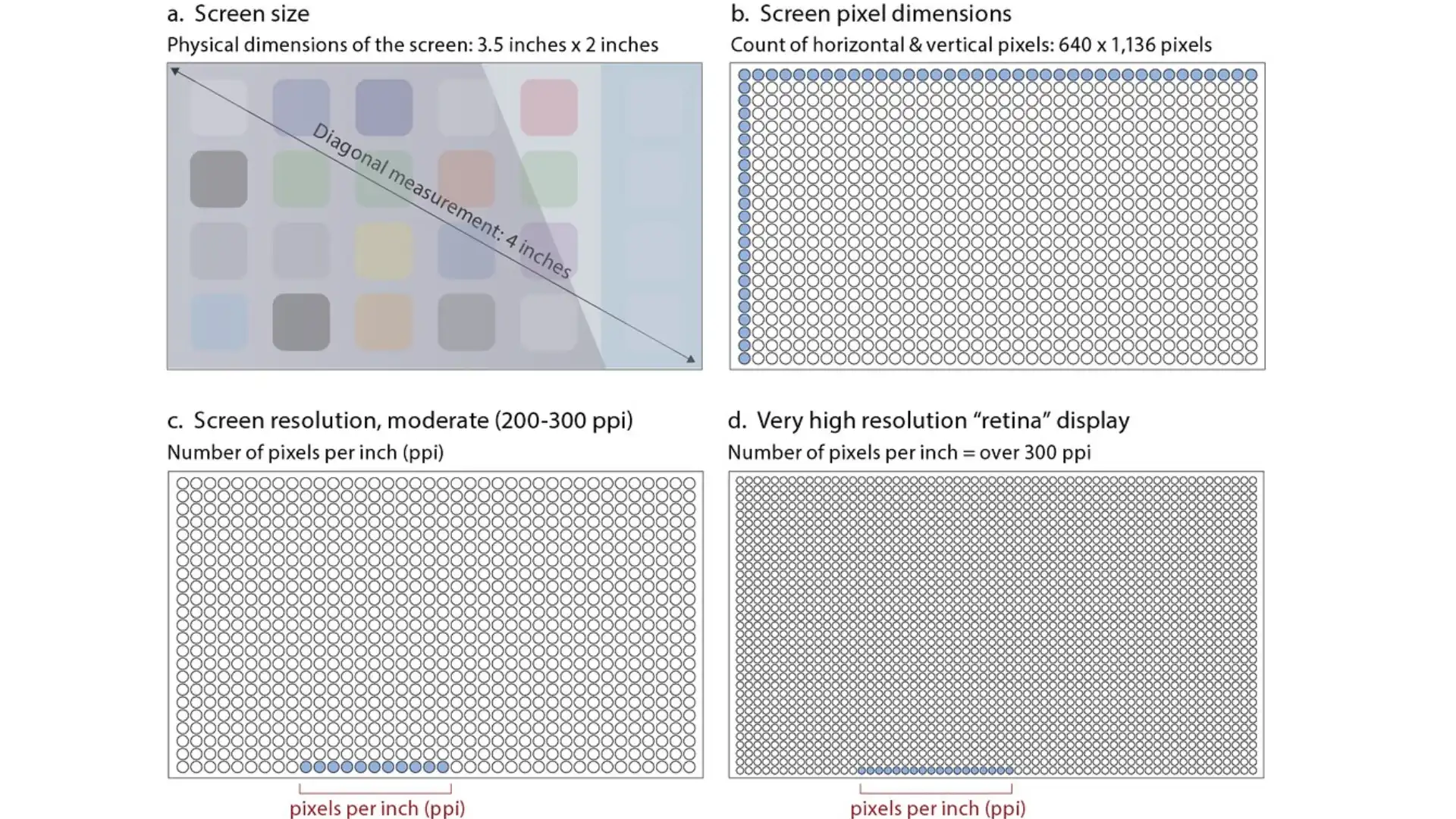 A detailed illustration of Photoshop's image resizing and export options, featuring screenshots and a diagram that explain screen resolution and pixel dimensions, emphasizing the use of 72 pixels per inch.