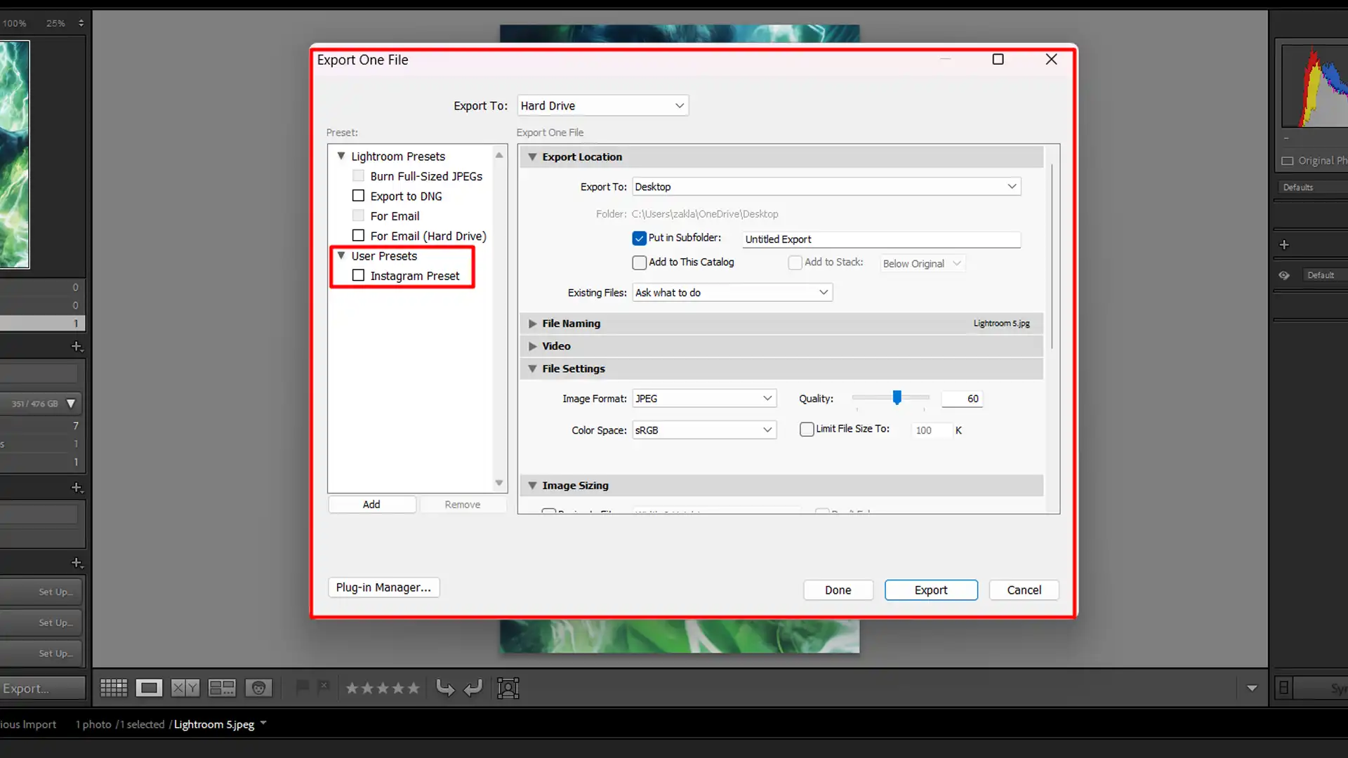 LR's export presets panel showing options like Instagram preset and full-sized JPEG export.