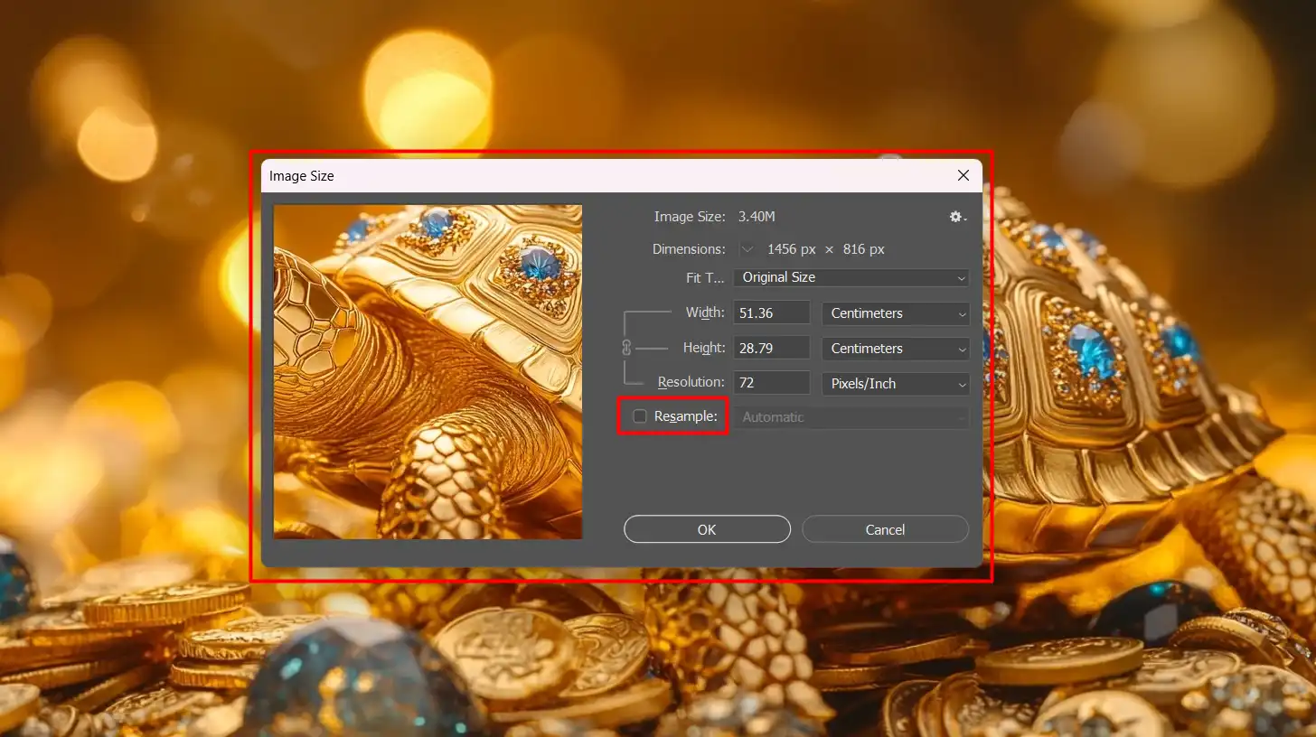 The Resample option unchecked in the Image Size dialog box in Photoshop, with a turtle image displayed.