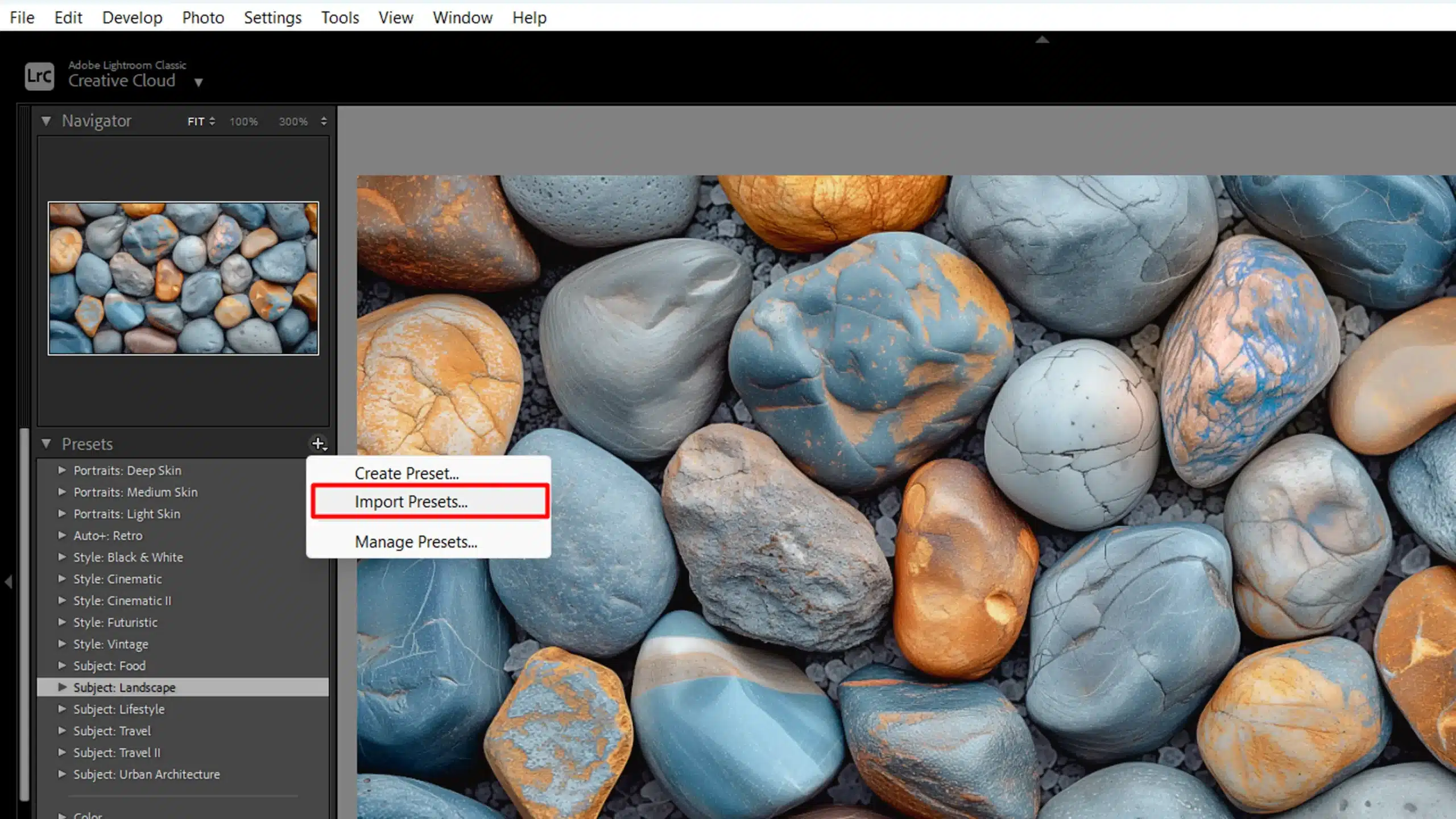 Software interface screen showing the option to import presets from the presets panel
