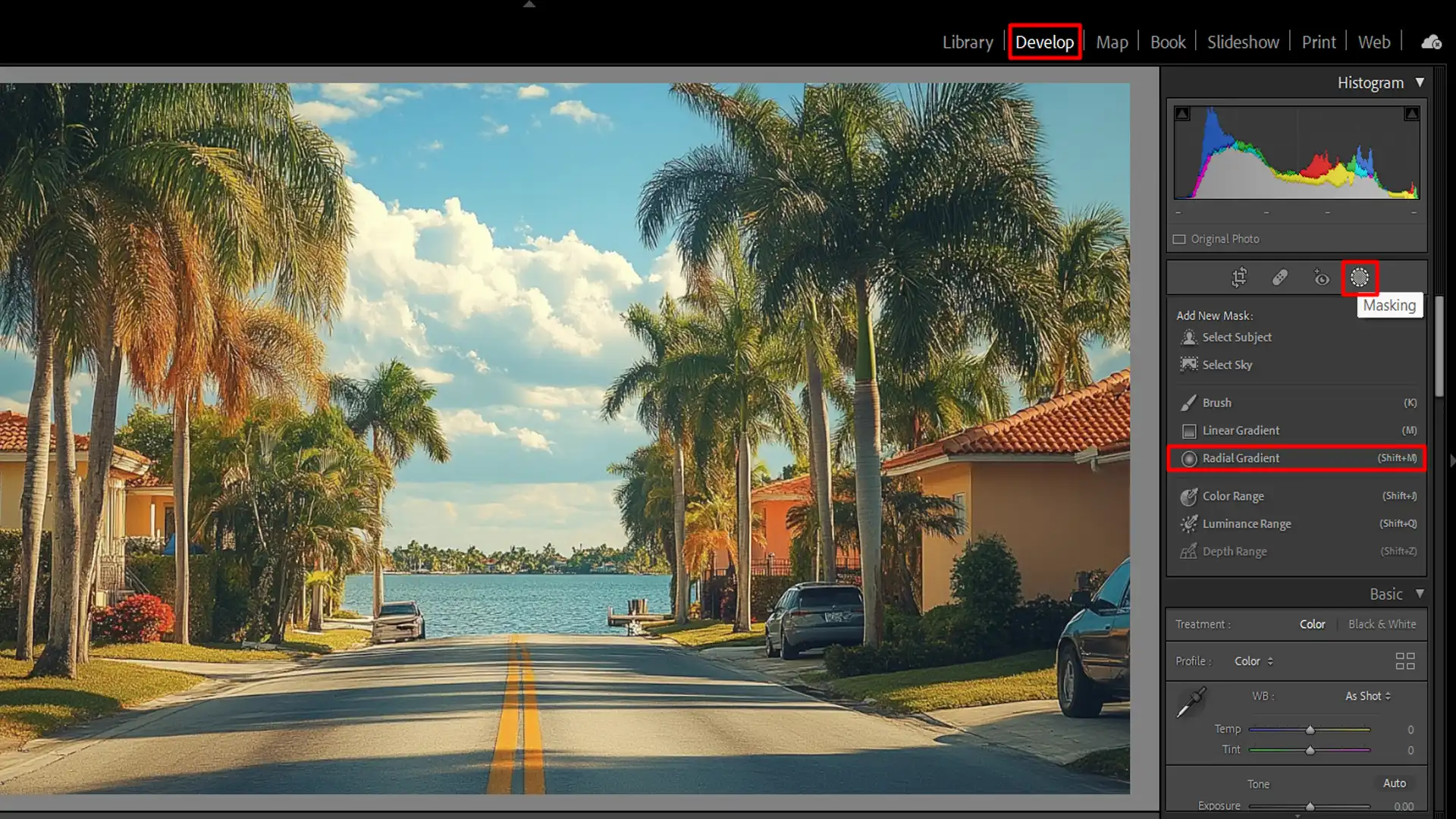 Radial gradient tool settings in Lightroom for applying radial blur.
