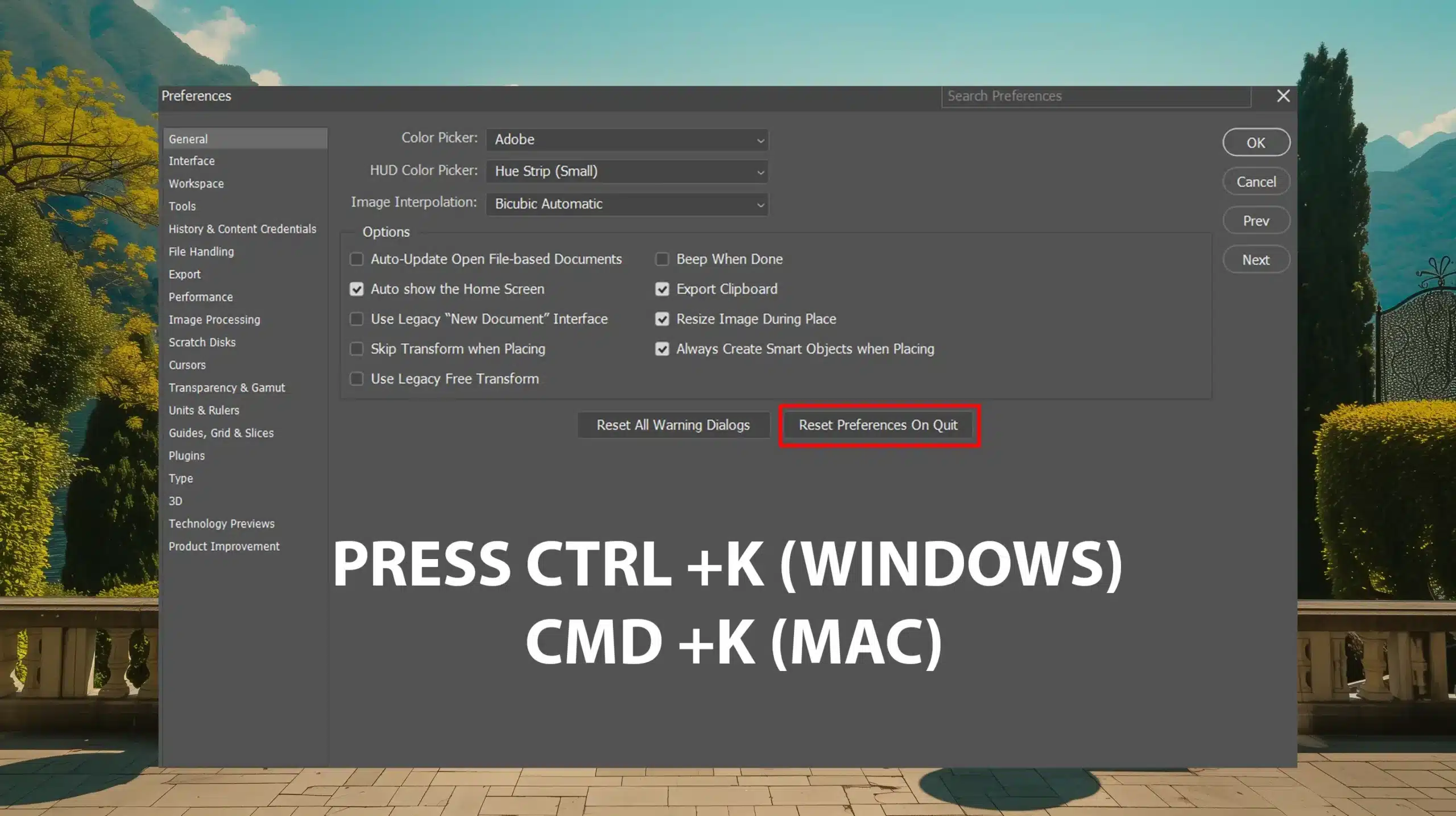 Photoshop Preferences dialog box with Reset Preferences on Quit option highlighted