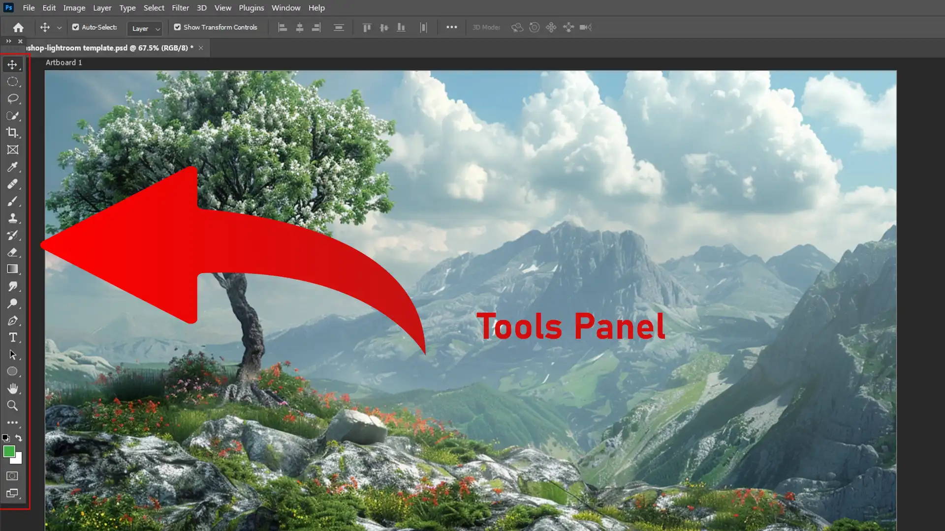 Adobe interface showing the Tools Panel on the left side with a red arrow pointing to it, labeled "Tools Panel"