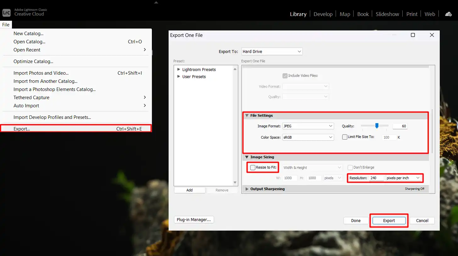 Troubleshooting common issues in converting RAW to JPEG in Lightroom