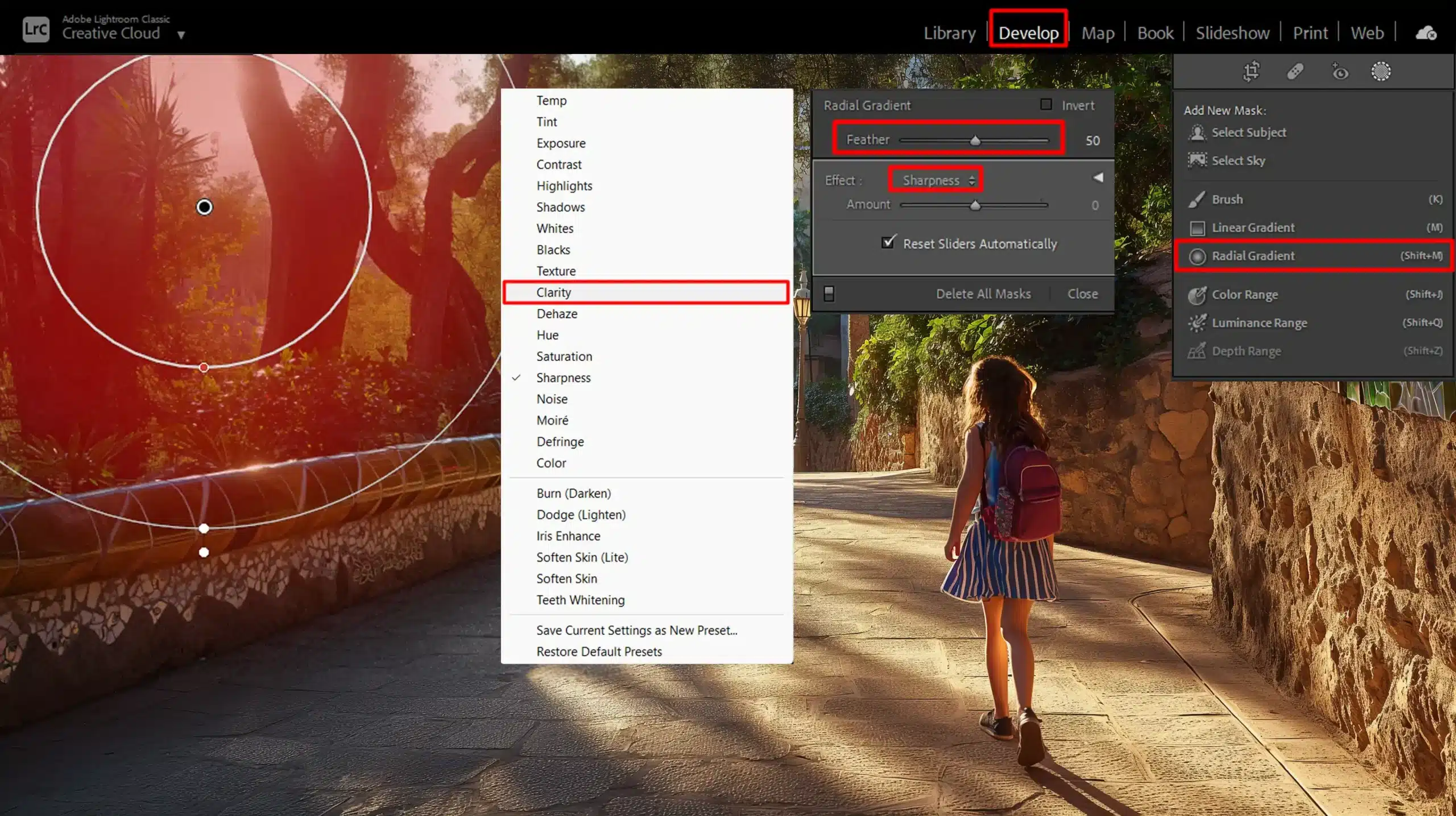 Understanding the Lens Blur Tool in Lightroom