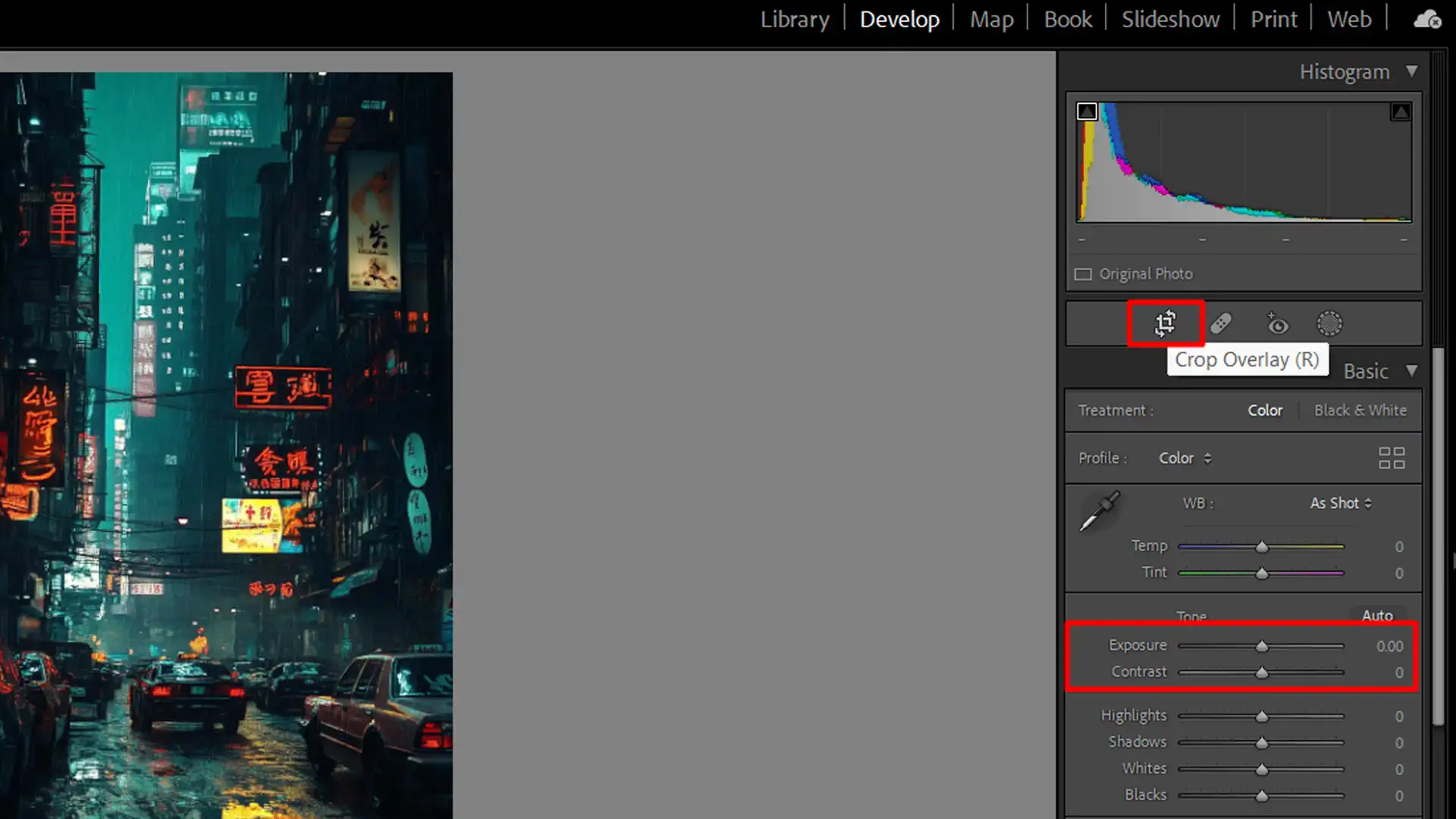 Software interface with various editing tools displayed for adjusting photo elements like exposure and contrast.