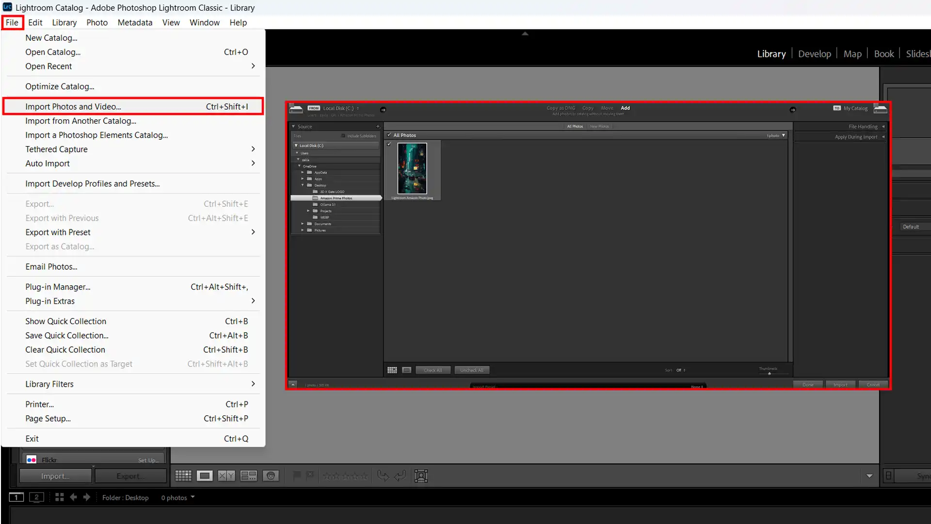 LR import interface showing the option to import photos and videos into a user catalog.