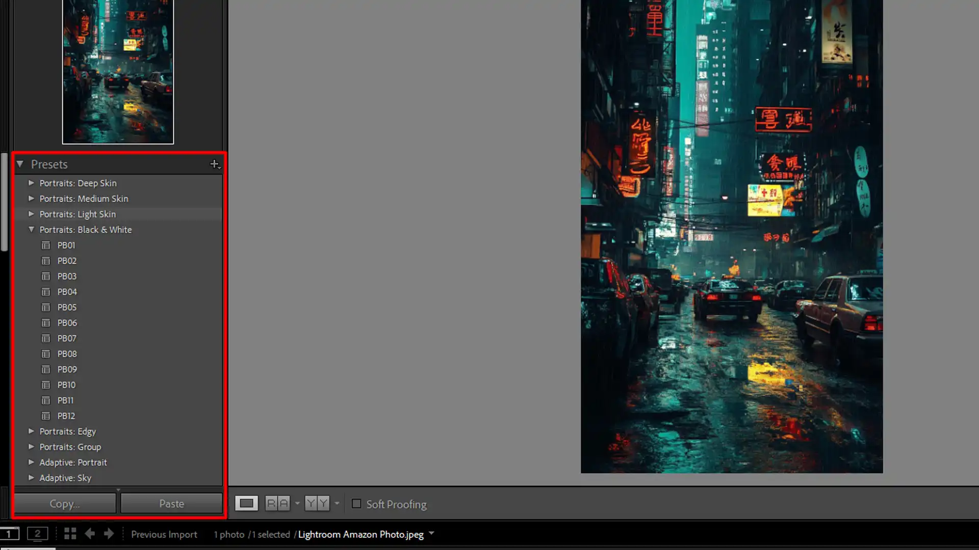 Lightroom preset options displayed for applying consistent edits to a photo.