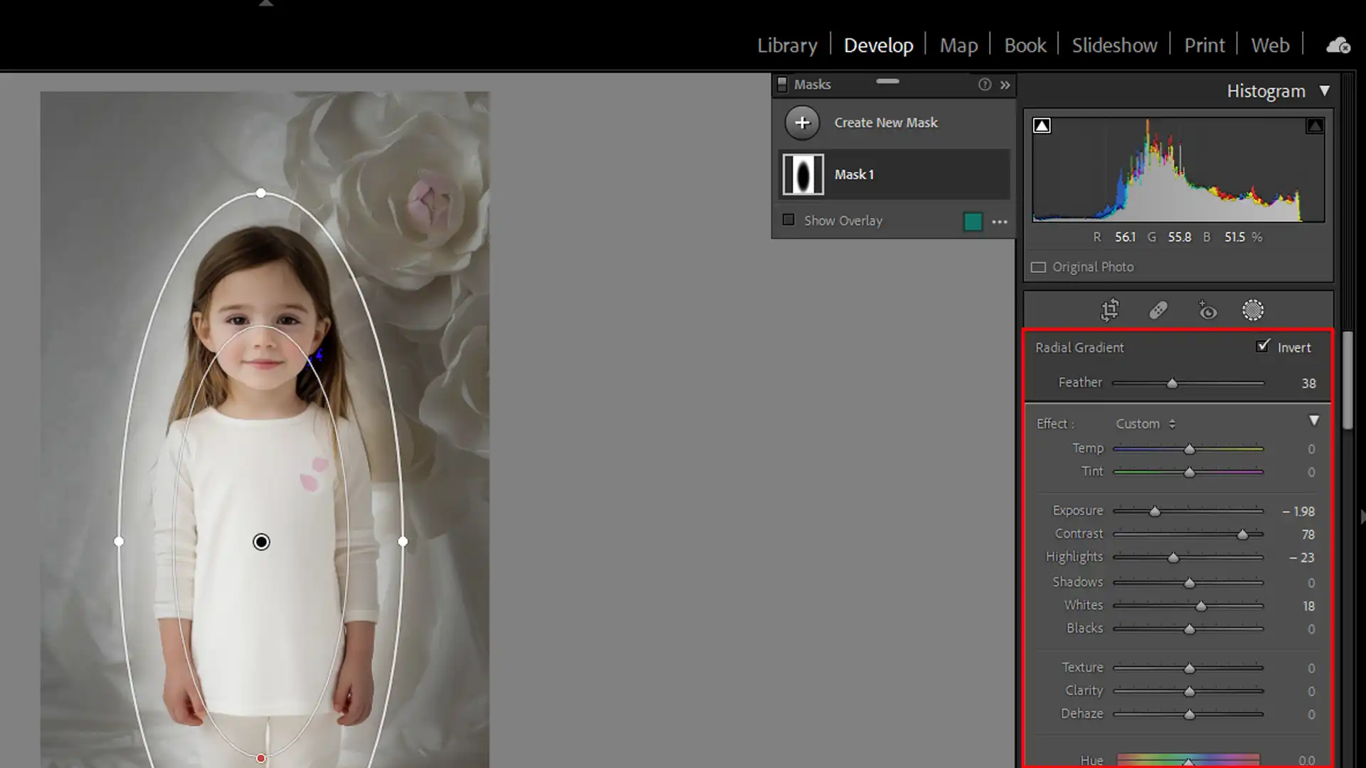 Radial gradient tool in Lightroom applied to a photo for background blur.